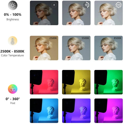 Neewer RGB168 LED Light Panel (Black, 2-Light Kit)