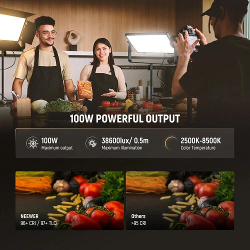 Neewer AP100B Bi-Color LED Light Panel