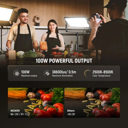 Neewer AP100B Bi-Color LED Light Panel